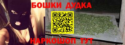мдпв Будённовск