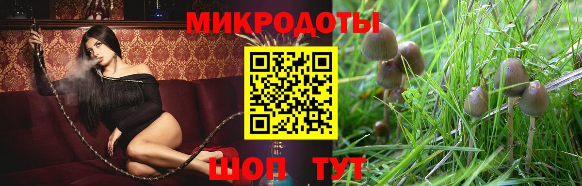 Галлюциногенные грибы ЛСД  Вход с VPN  Новокузнецк 